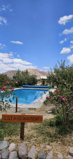 Piscina y entorno
