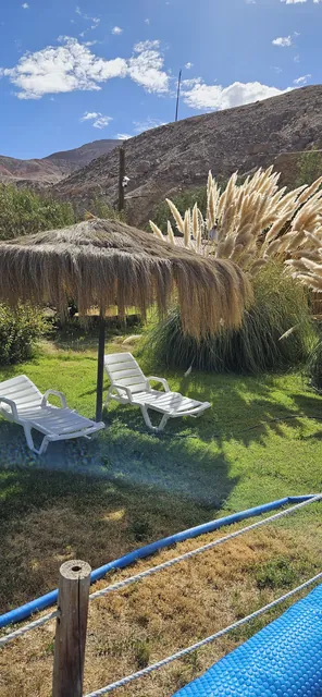 Reposeras junto a la piscina